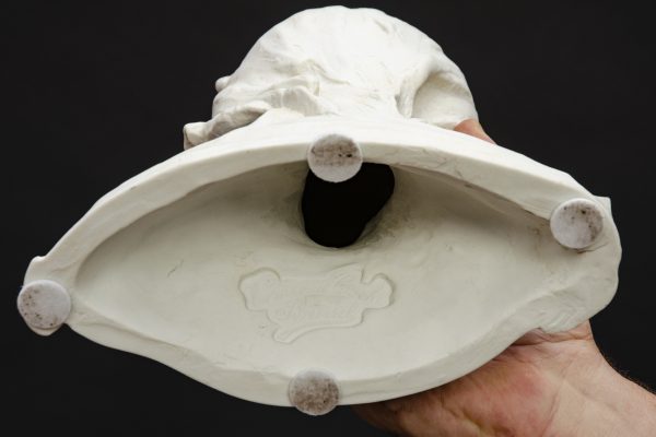 Bisque bust of young child, Jacobs - Image 8